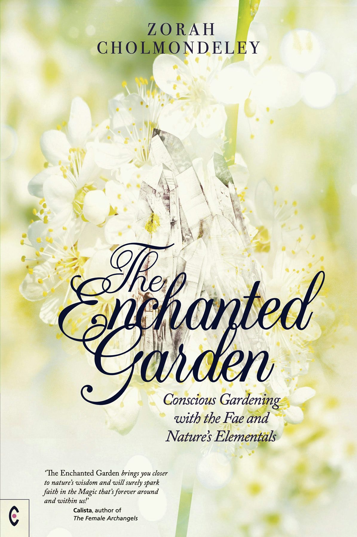 Cover image for The Enchanted Garden, isbn: 9781912992287