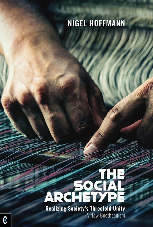 Cover image for The Social Archetype, isbn: 9781912992553