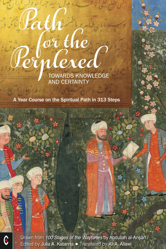 Cover image for Path for the Perplexed, isbn: 9781912992812