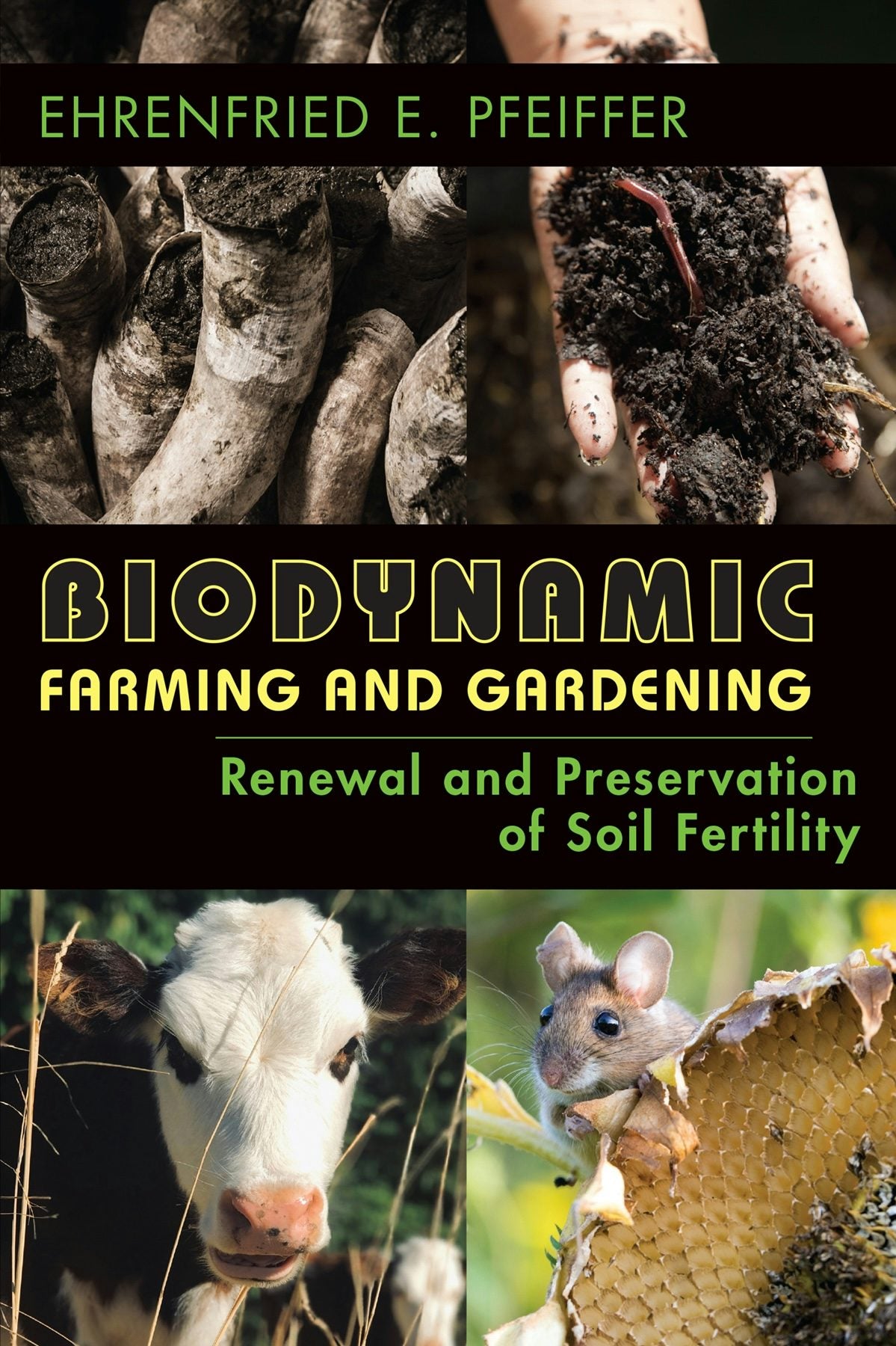 Cover image for Biodynamic Farming and Gardening, isbn: 9781938685293