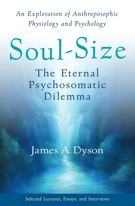 Cover image for Soul-Size, isbn: 9781938685361