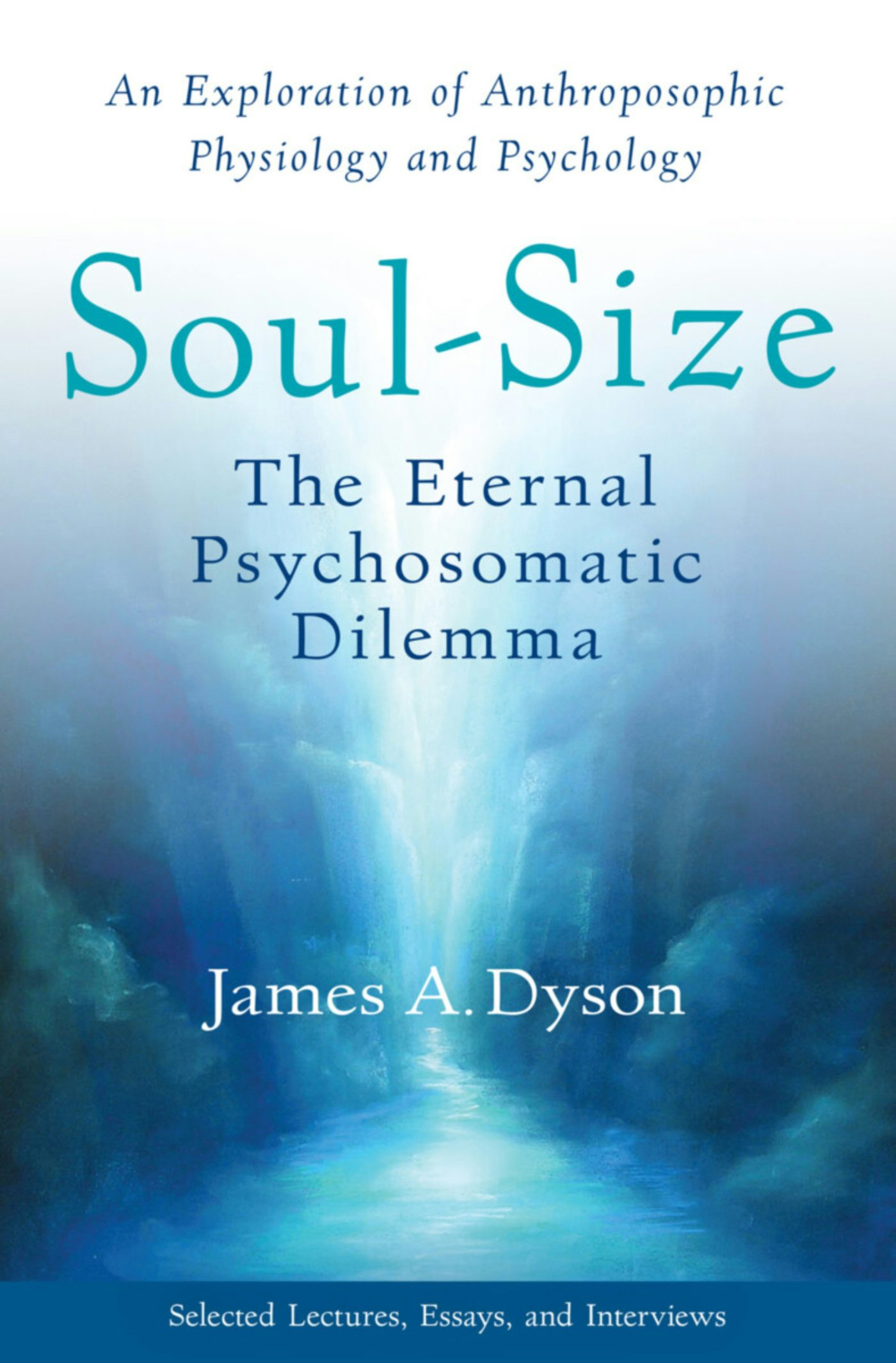 Cover image for Soul-Size, isbn: 9781938685378