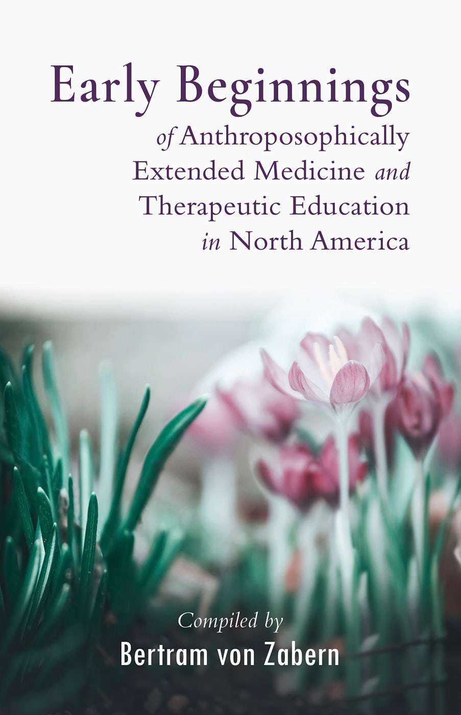 Cover image for Early Beginnings of Anthroposophically Extended Medicine and Therapeutic Education in North America, isbn: 9781938685552