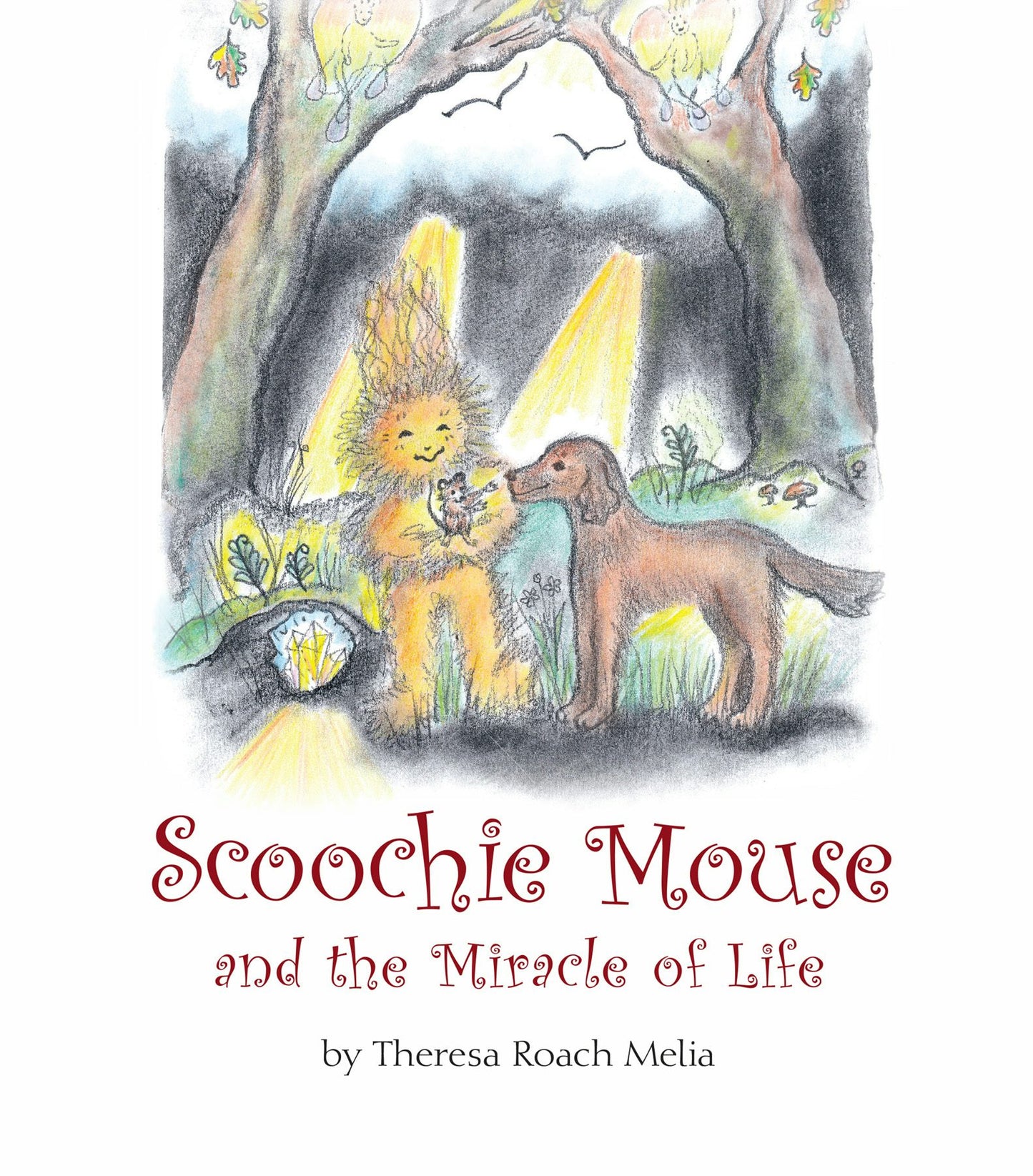 Cover image for Scoochie Mouse and the Miracle of Life, isbn: 9781952166068