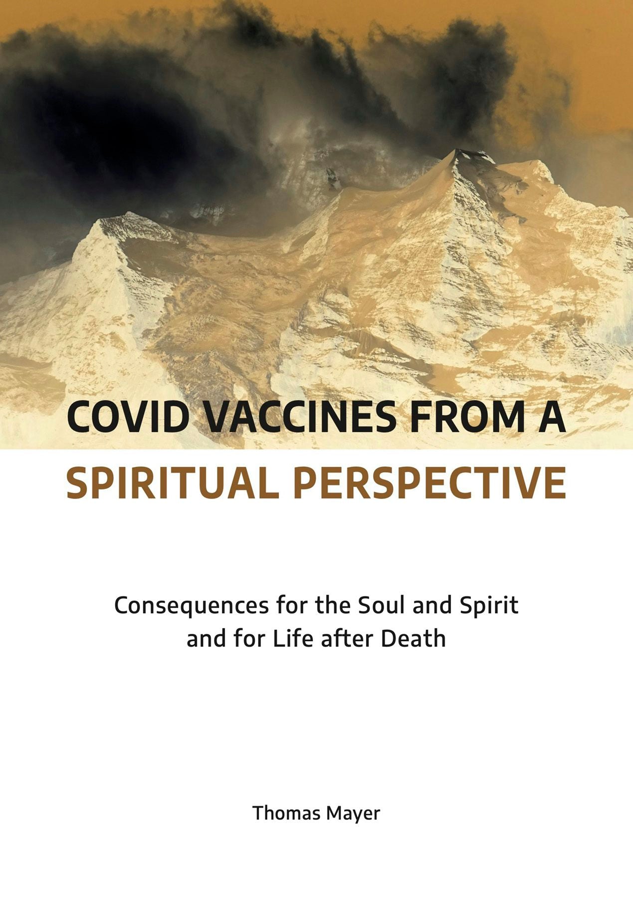 Cover image for Covid Vaccines from a Spiritual Perspective, isbn: 9783910465008