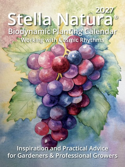 Cover image for Stella Natura Biodynamic Planting Calendar 2027, isbn: 9798990243620