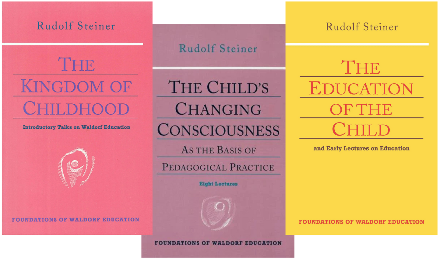 Introducing Steiner on Education - Bundle